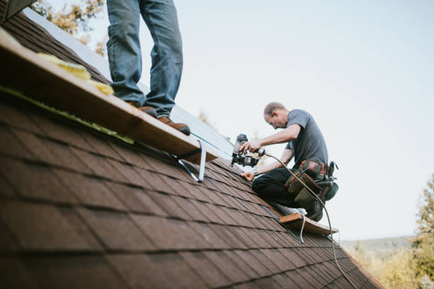 Best Storm Damage Roof Repair  in Tice, FL