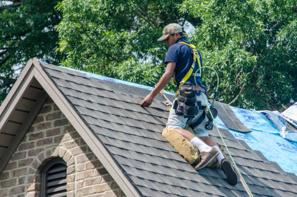 Best Shingle Roofing Installation  in Tice, FL