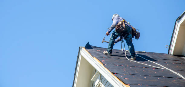 Best Metal Roofing Contractor  in Tice, FL